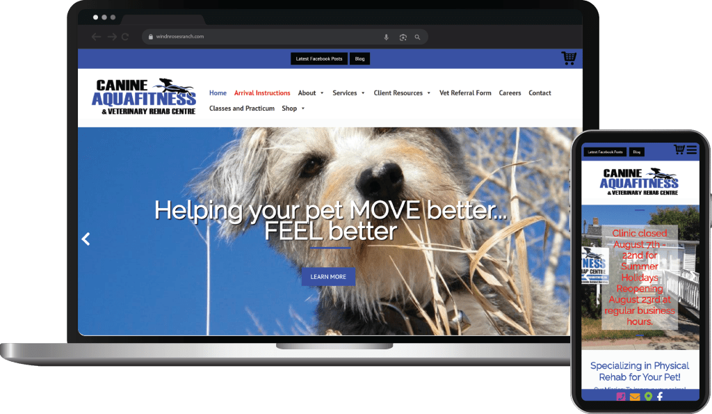 Web Design Case Study Cover Photo Canine Aqua Fitness